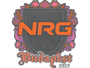Sticker | NRG | Budapest 2025 image