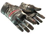 ★ Moto Gloves | Boom! image