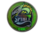 Sticker | Team Spirit (Holo) | Katowice 2019 image