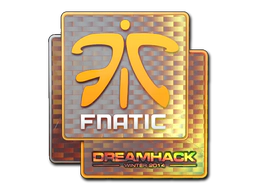 Sticker | Fnatic (Holo) | DreamHack 2014 image
