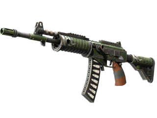 Galil AR | Vandal