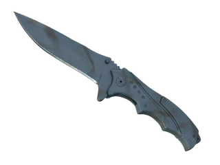 ★ Nomad Knife | Night Stripe