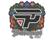 Sealed Graffiti | paiN Gaming | Budapest 2025 image