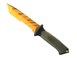 ★ Ursus Knife | Tiger Tooth image