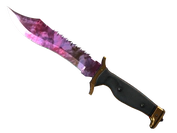 ★ Bowie Knife | Doppler Phase 2 image