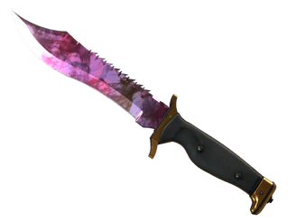 ★ Bowie Knife | Doppler Phase 2 image