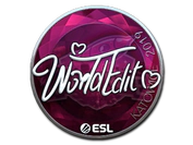 Sticker | WorldEdit (Foil) | Katowice 2019 image