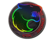 Sticker | FURIA (Holo) | Katowice 2019 image