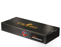 DreamHack 2014 Mirage Souvenir Package image