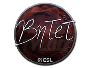 Sticker | BnTeT (Foil) | Katowice 2019 image