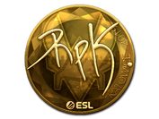 Sticker | RpK (Gold) | Katowice 2019 image