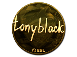Sticker | tonyblack (Gold) | Katowice 2019 image