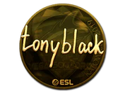 Sticker | tonyblack (Gold) | Katowice 2019 image