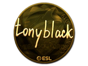 Sticker | tonyblack (Gold) | Katowice 2019 image