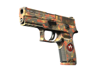 P250 | Red Rock image