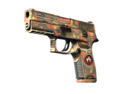 P250 | Red Rock image