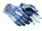 ★ Sport Gloves | Amphibious image