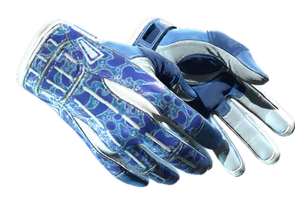 ★ Sport Gloves | Amphibious image