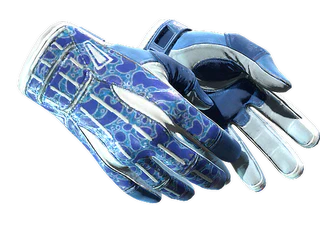 Sport Gloves