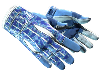 ★ Sport Gloves | Amphibious image