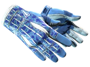 ★ Sport Gloves | Amphibious image