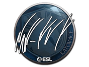 Sticker | NAF | Katowice 2019 image