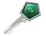 Gallery Case Key
