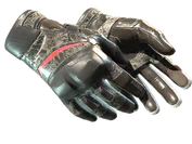 ★ Moto Gloves | Boom! image