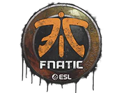 Sealed Graffiti | Fnatic | Katowice 2019 image