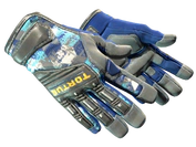 ★ Specialist Gloves | Mogul image
