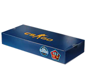 ESL One Cologne 2014 Mirage Souvenir Package image