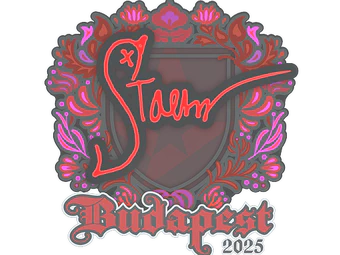 Sticker | Staehr | Budapest 2025 image