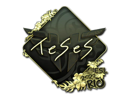 Sticker | TeSeS (Gold) | Rio 2022 image