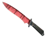 ★ Classic Knife | Slaughter image