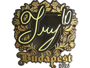 Sticker | TRY (Gold) | Budapest 2025 image