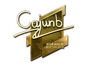 Sticker | cajunb (Gold) | Boston 2018 image