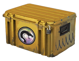 Recoil Case image