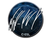 Sticker | NAF (Foil) | Katowice 2019 image