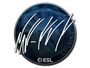 Sticker | NAF (Foil) | Katowice 2019 image