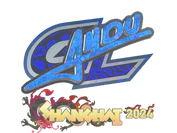 Sticker | aNdu (Holo) | Shanghai 2024 image