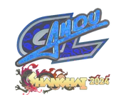 Sticker | aNdu (Holo) | Shanghai 2024 image