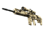 SCAR-20 | Palm image