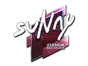 Sticker | suNny (Foil) | Boston 2018 image