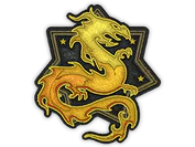 Patch | Wildfire image