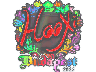 Sticker | HooXi (Holo) | Budapest 2025 image