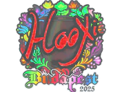 Sticker | HooXi (Holo) | Budapest 2025 image