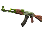 AK-47 | Hydroponic image