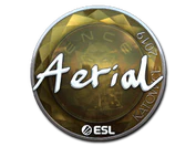 Sticker | Aerial (Foil) | Katowice 2019 image