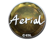Sticker | Aerial (Foil) | Katowice 2019 image