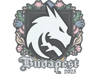 Sticker | Team Spirit | Budapest 2025 image